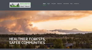 bend_oregon_web_design_dcfp